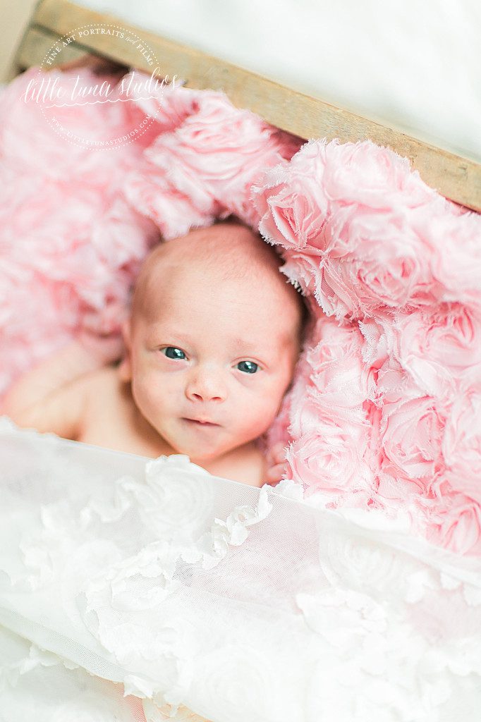 madison_newborn-2 copy